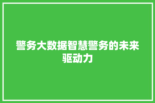 警务大数据智慧警务的未来驱动力  第1张
