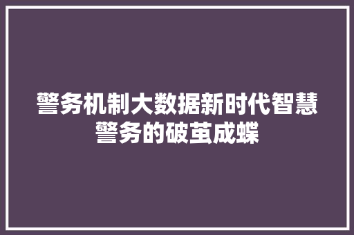 警务机制大数据新时代智慧警务的破茧成蝶  第1张