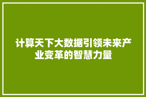 计算天下大数据引领未来产业变革的智慧力量