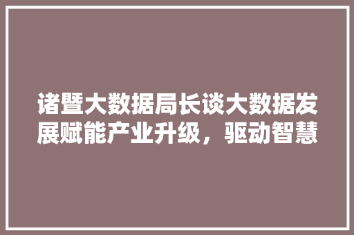 诸暨大数据局长谈大数据发展赋能产业升级，驱动智慧城市建设