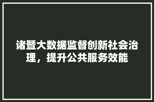 诸暨大数据监督创新社会治理，提升公共服务效能