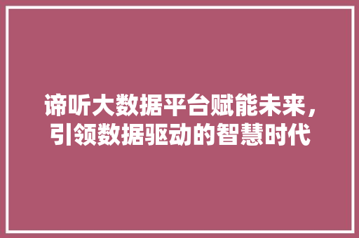 谛听大数据平台赋能未来，引领数据驱动的智慧时代