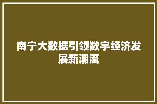 南宁大数据引领数字经济发展新潮流  第1张