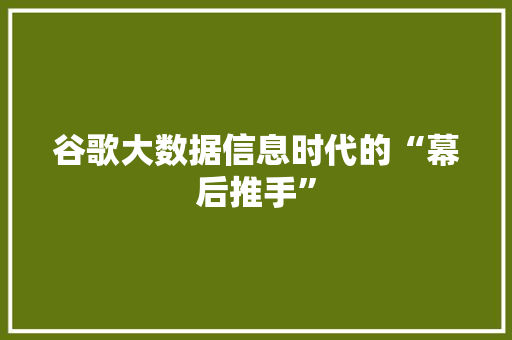 谷歌大数据信息时代的“幕后推手”  第1张