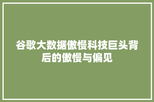 谷歌大数据傲慢科技巨头背后的傲慢与偏见