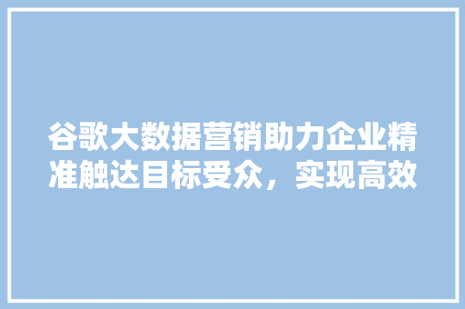 谷歌大数据营销助力企业精准触达目标受众，实现高效营销  第1张