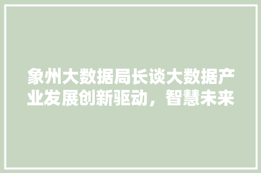 象州大数据局长谈大数据产业发展创新驱动，智慧未来