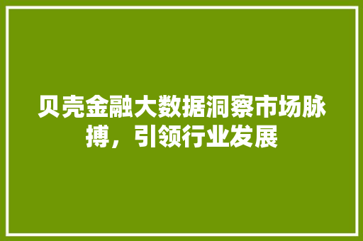 贝壳金融大数据洞察市场脉搏，引领行业发展  第1张