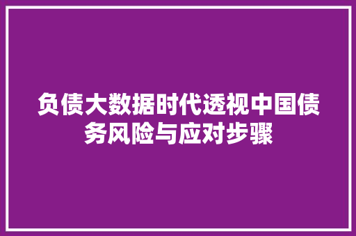 负债大数据时代透视中国债务风险与应对步骤