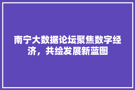 南宁大数据论坛聚焦数字经济，共绘发展新蓝图