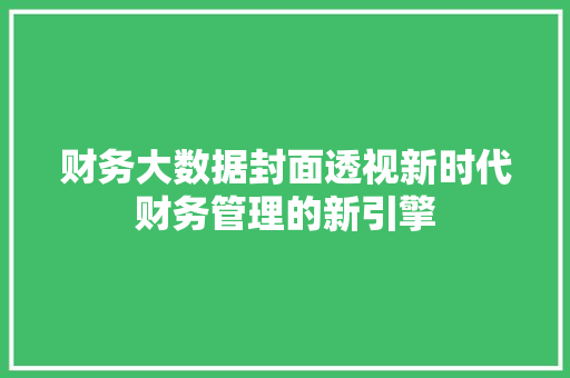 财务大数据封面透视新时代财务管理的新引擎  第1张