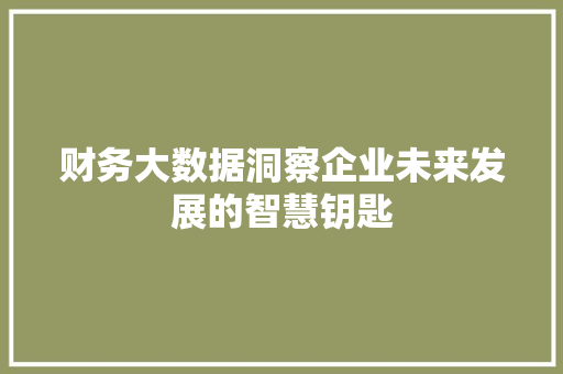财务大数据洞察企业未来发展的智慧钥匙  第1张