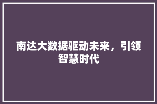 南达大数据驱动未来，引领智慧时代  第1张