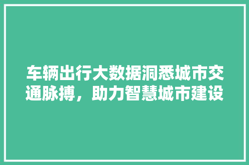 车辆出行大数据洞悉城市交通脉搏，助力智慧城市建设  第1张