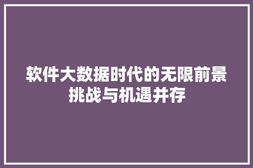 软件大数据时代的无限前景挑战与机遇并存  第1张