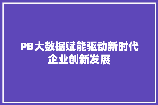 PB大数据赋能驱动新时代企业创新发展