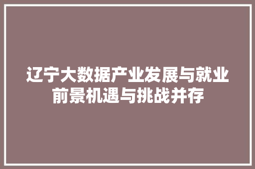 辽宁大数据产业发展与就业前景机遇与挑战并存  第1张