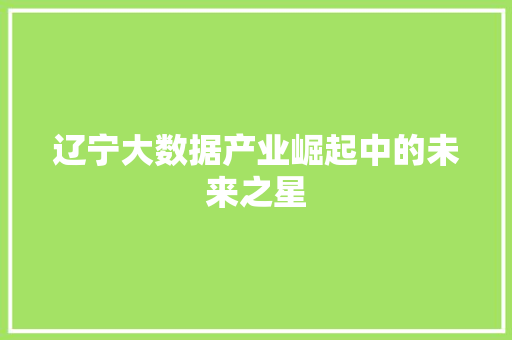 辽宁大数据产业崛起中的未来之星  第1张