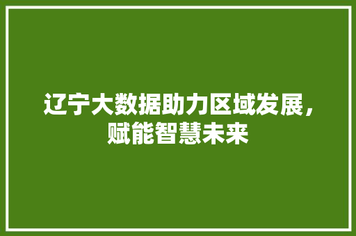 辽宁大数据助力区域发展，赋能智慧未来  第1张