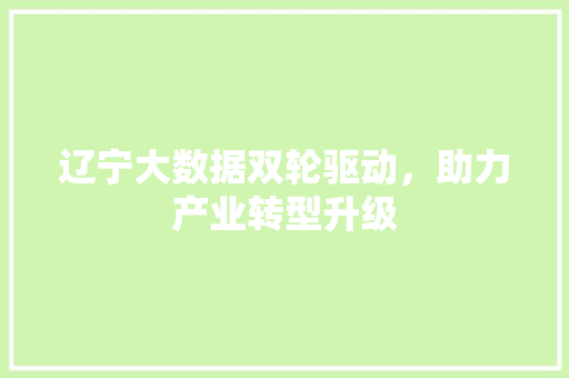 辽宁大数据双轮驱动，助力产业转型升级  第1张