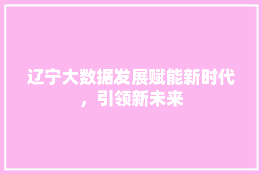 辽宁大数据发展赋能新时代，引领新未来  第1张