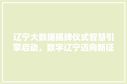 辽宁大数据揭牌仪式智慧引擎启动，数字辽宁迈向新征程