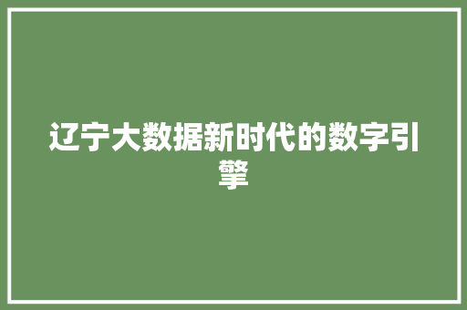 辽宁大数据新时代的数字引擎