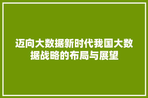 迈向大数据新时代我国大数据战略的布局与展望  第1张