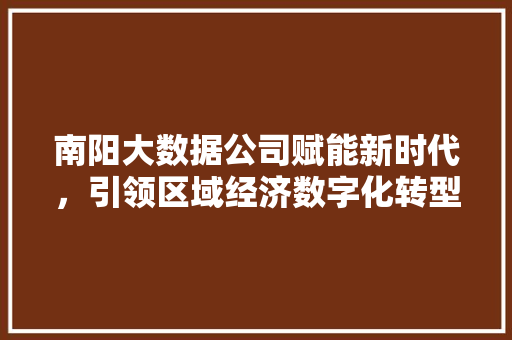 南阳大数据公司赋能新时代，引领区域经济数字化转型  第1张