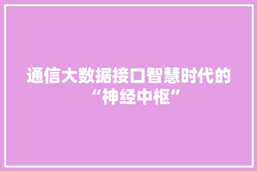 通信大数据接口智慧时代的“神经中枢”
