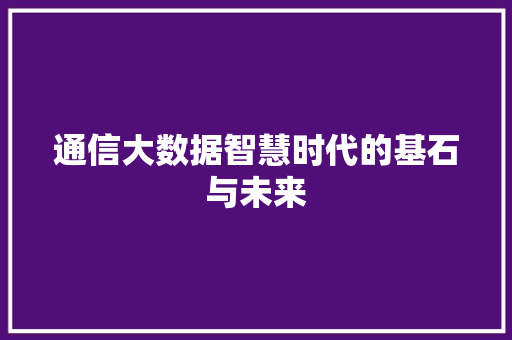 通信大数据智慧时代的基石与未来  第1张