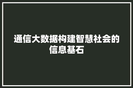 通信大数据构建智慧社会的信息基石  第1张
