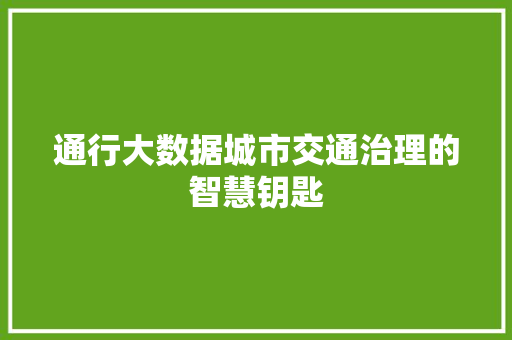 通行大数据城市交通治理的智慧钥匙