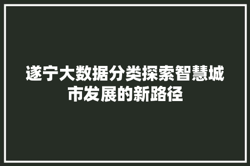 遂宁大数据分类探索智慧城市发展的新路径  第1张