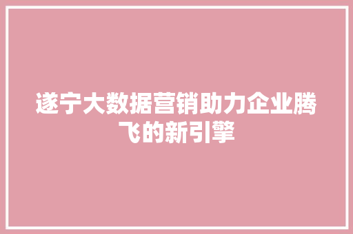 遂宁大数据营销助力企业腾飞的新引擎  第1张