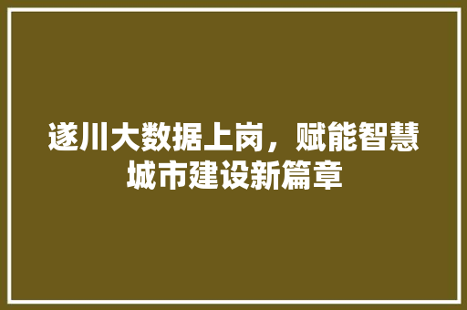 遂川大数据上岗，赋能智慧城市建设新篇章