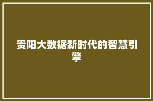 贵阳大数据新时代的智慧引擎  第1张