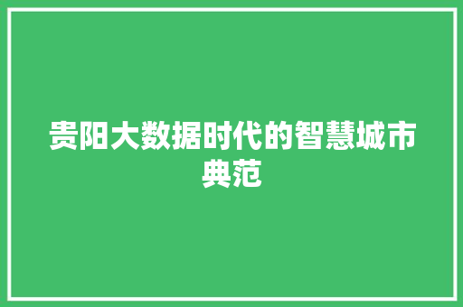 贵阳大数据时代的智慧城市典范  第1张
