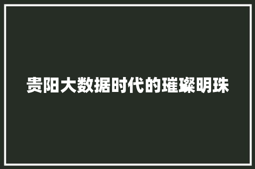 贵阳大数据时代的璀璨明珠  第1张
