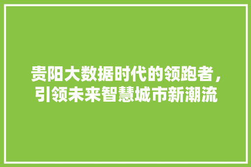 贵阳大数据时代的领跑者，引领未来智慧城市新潮流  第1张