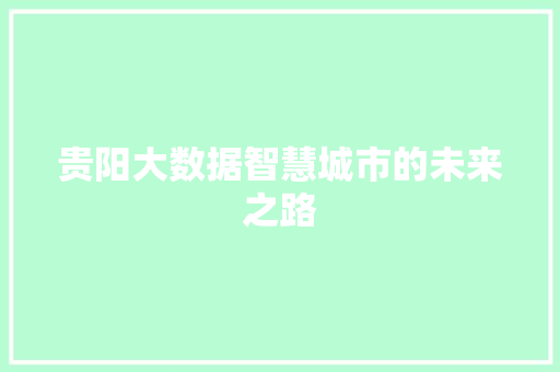 贵阳大数据智慧城市的未来之路  第1张