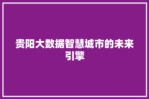 贵阳大数据智慧城市的未来引擎  第1张