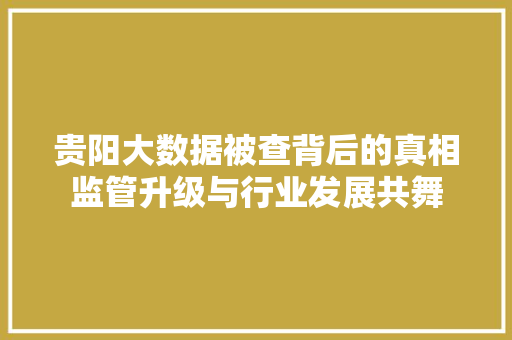贵阳大数据被查背后的真相监管升级与行业发展共舞  第1张