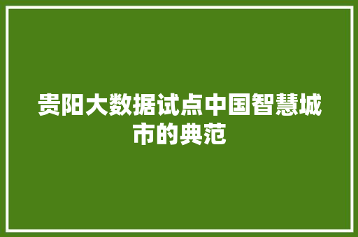 贵阳大数据试点中国智慧城市的典范  第1张