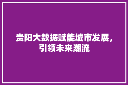 贵阳大数据赋能城市发展，引领未来潮流