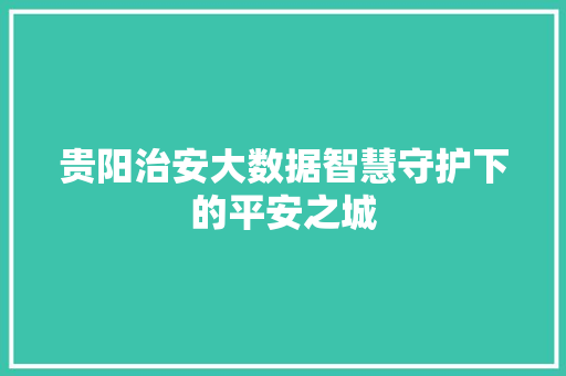 贵阳治安大数据智慧守护下的平安之城  第1张
