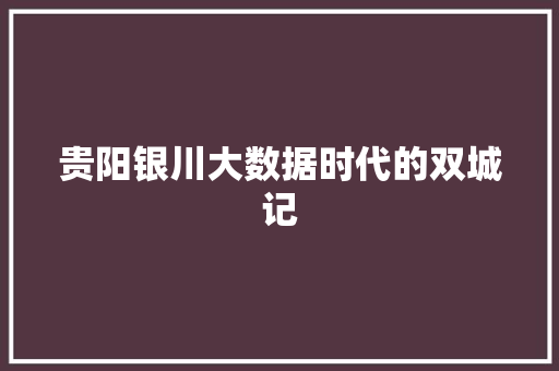 贵阳银川大数据时代的双城记  第1张