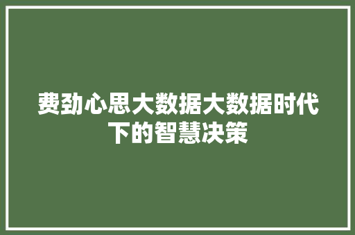 费劲心思大数据大数据时代下的智慧决策