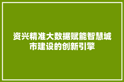 资兴精准大数据赋能智慧城市建设的创新引擎