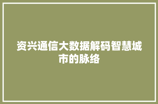 资兴通信大数据解码智慧城市的脉络